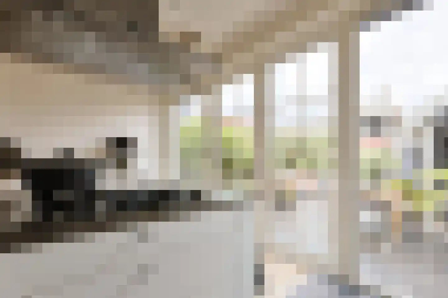 Emmalaan 47 Alphen aan den Rijn thumbnail 22