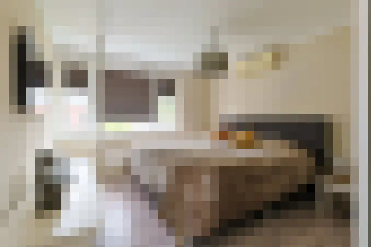 Emmalaan 47 Alphen aan den Rijn thumbnail 28