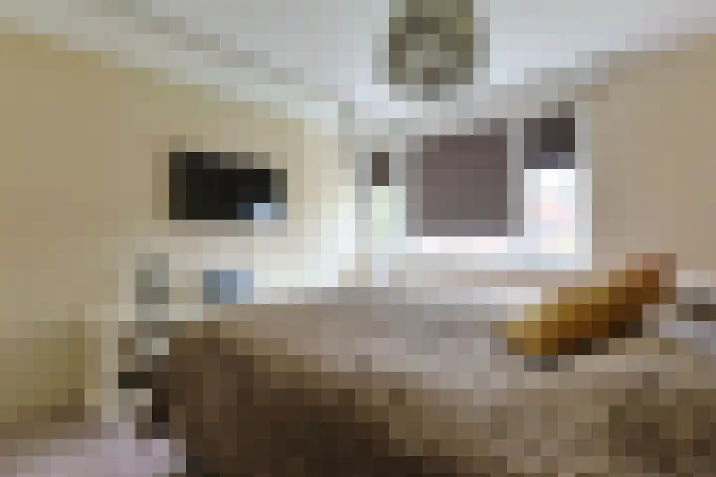 Emmalaan 47 Alphen aan den Rijn thumbnail 29