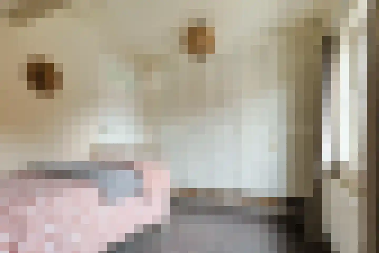 Emmalaan 47 Alphen aan den Rijn thumbnail 35