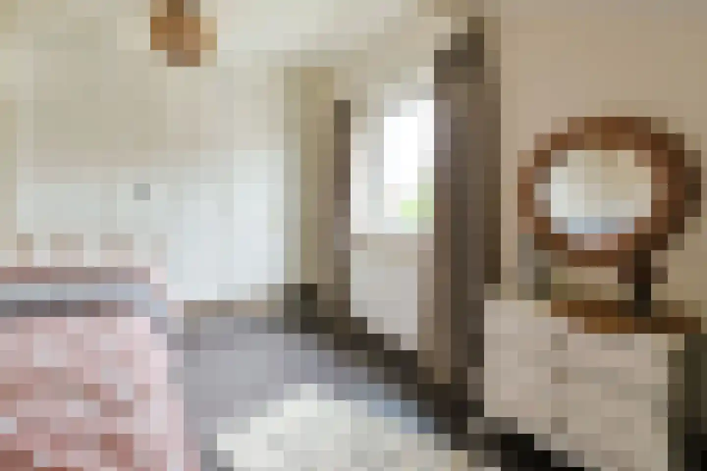 Emmalaan 47 Alphen aan den Rijn thumbnail 36