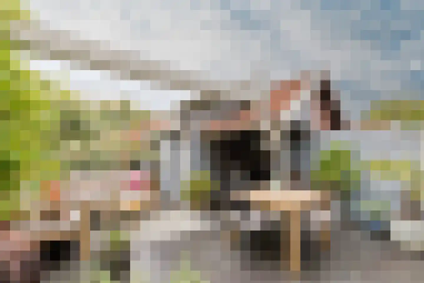 Emmalaan 47 Alphen aan den Rijn thumbnail 47