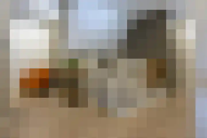 Emmalaan 5 a Dirksland thumbnail 18