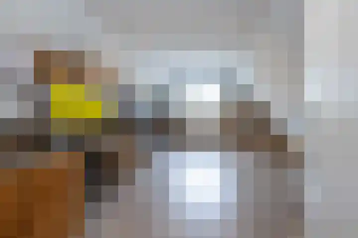 Emmalaan 5 a Dirksland thumbnail 27