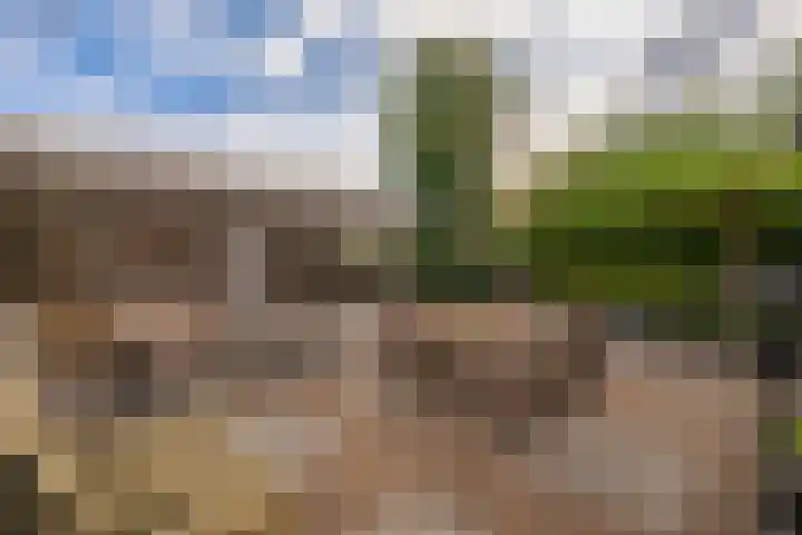 Emmalaan 5 a Dirksland thumbnail 37