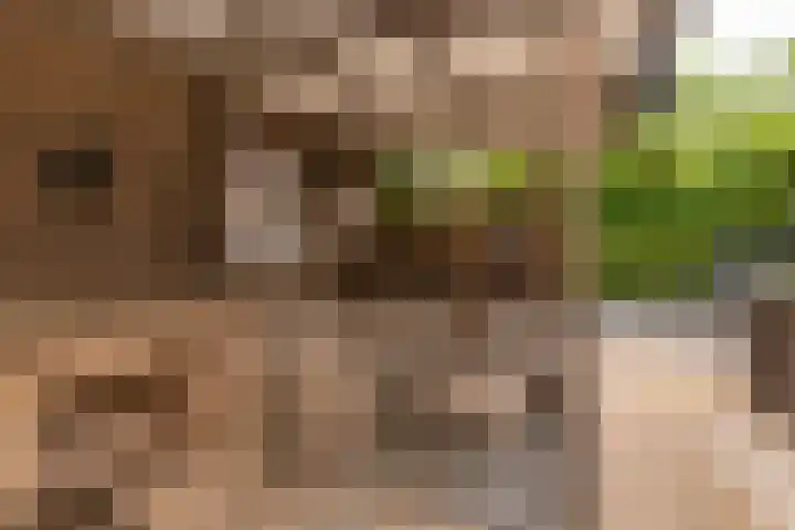 Emmalaan 5 a Dirksland thumbnail 38
