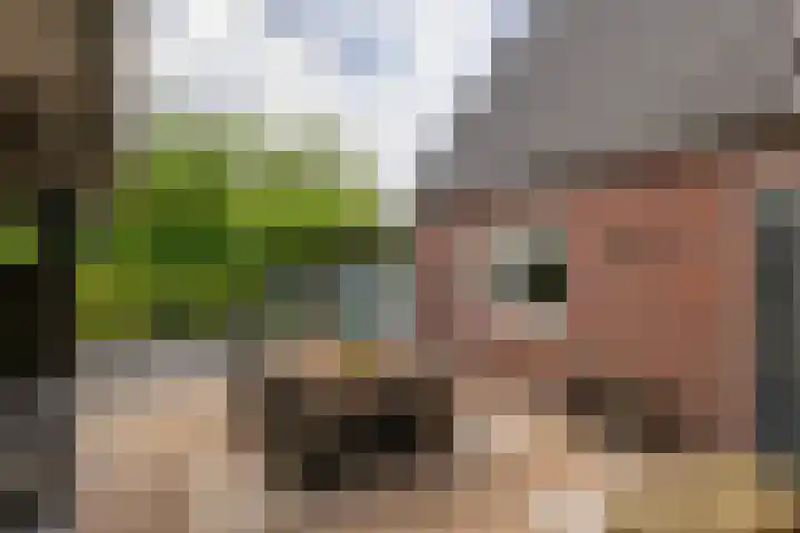 Emmalaan 5 a Dirksland thumbnail 40
