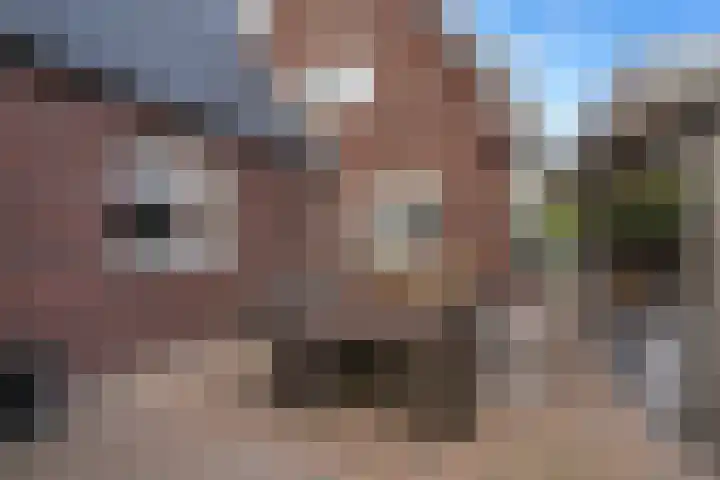 Emmalaan 5 a Dirksland thumbnail 41