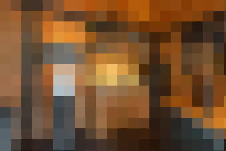 Emmalaan 5 a Dirksland thumbnail 45