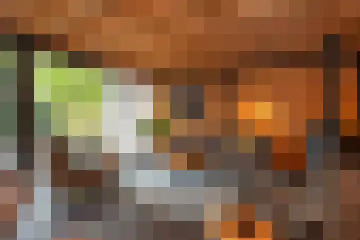Emmalaan 5 a Dirksland thumbnail 47