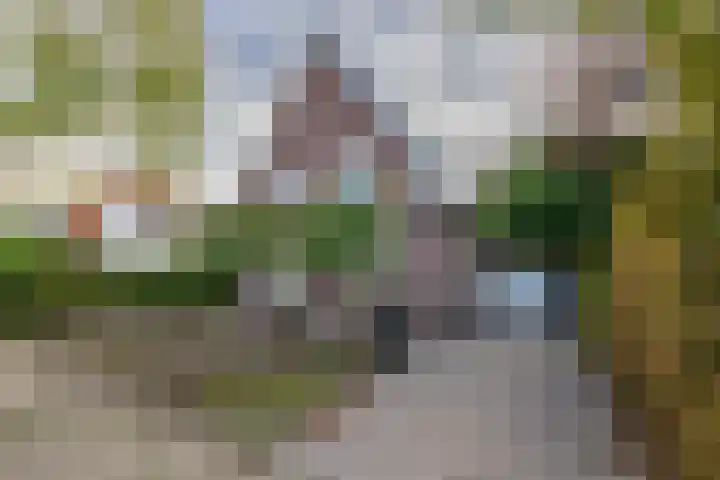 Emmalaan 5 a Dirksland thumbnail 50