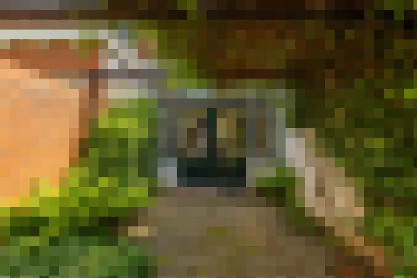 Emmalaan 5 a Haren Gn thumbnail 12