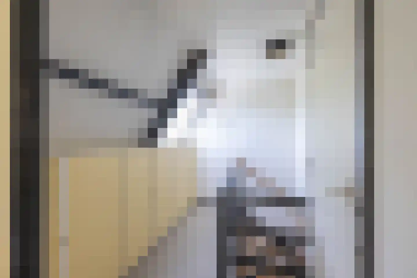 Emmalaan 5 a Haren Gn thumbnail 33