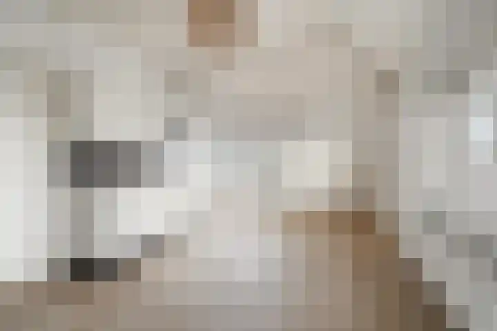 Emmalaan 5 Alphen aan den Rijn thumbnail 13