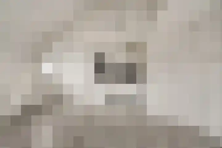 Emmalaan 5 Alphen aan den Rijn thumbnail 17
