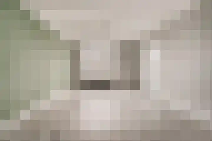 Emmalaan 5 Alphen aan den Rijn foto 2