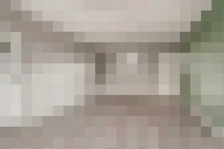 Emmalaan 5 Alphen aan den Rijn foto 3