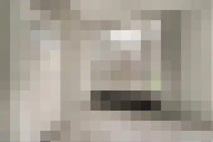 Emmalaan 5 Alphen aan den Rijn thumbnail 8