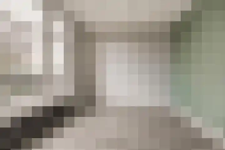 Emmalaan 5 Alphen aan den Rijn thumbnail 9