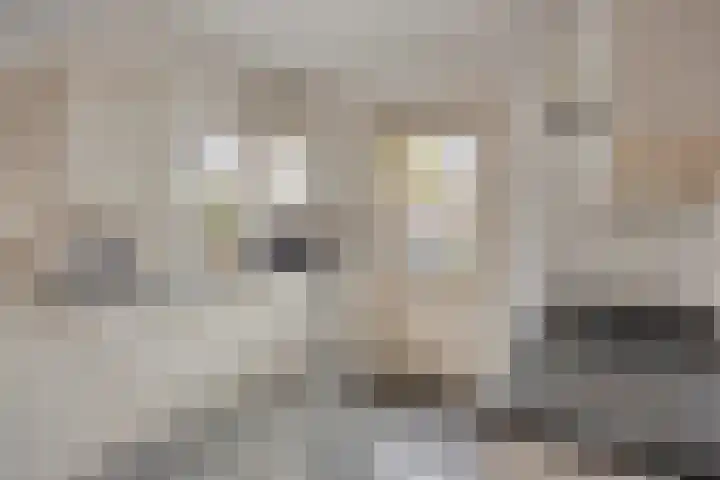 Emmalaan 5 Oegstgeest thumbnail 14