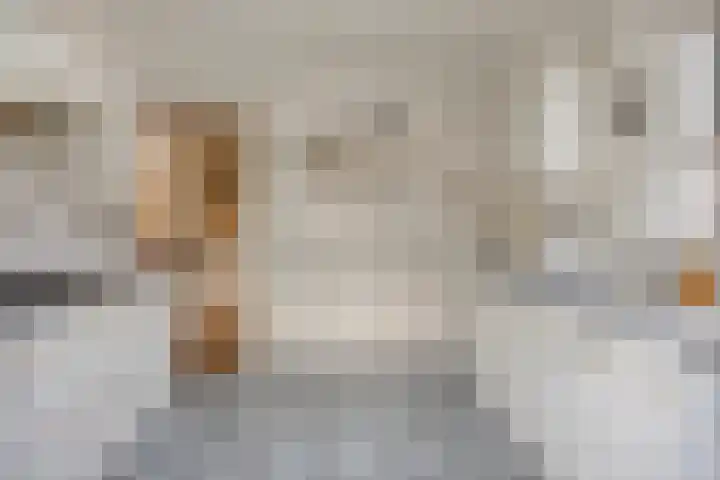 Emmalaan 5 Oegstgeest thumbnail 15