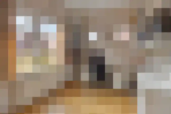Emmalaan 5 Oegstgeest thumbnail 16
