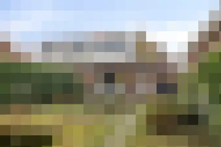 Emmalaan 5 Oegstgeest foto 2