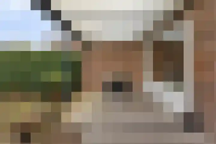 Emmalaan 5 Oegstgeest thumbnail 27