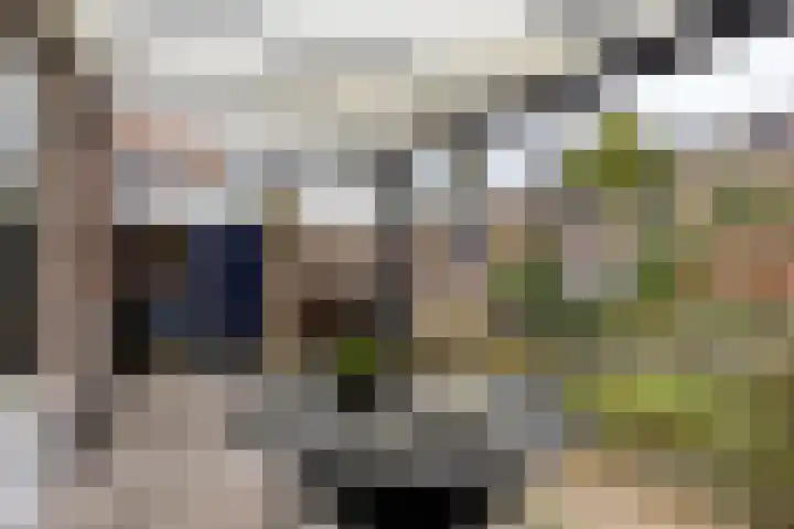 Emmalaan 5 Oegstgeest thumbnail 28