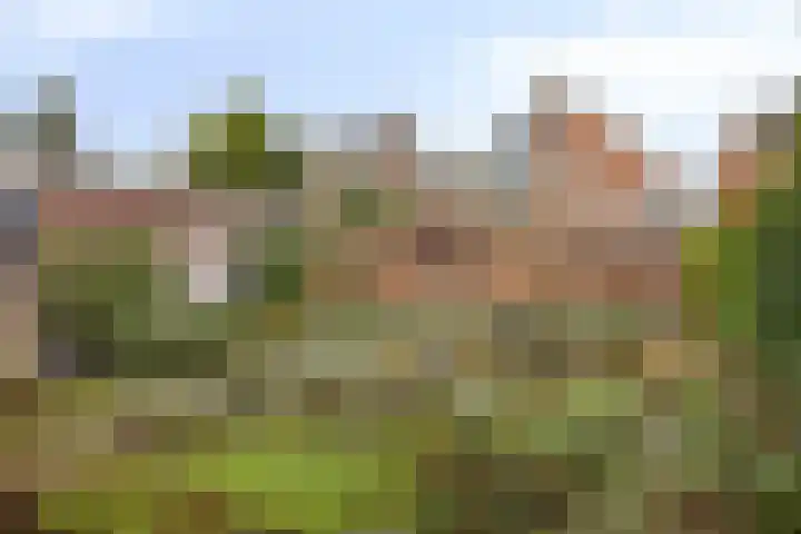 Emmalaan 5 Oegstgeest thumbnail 29