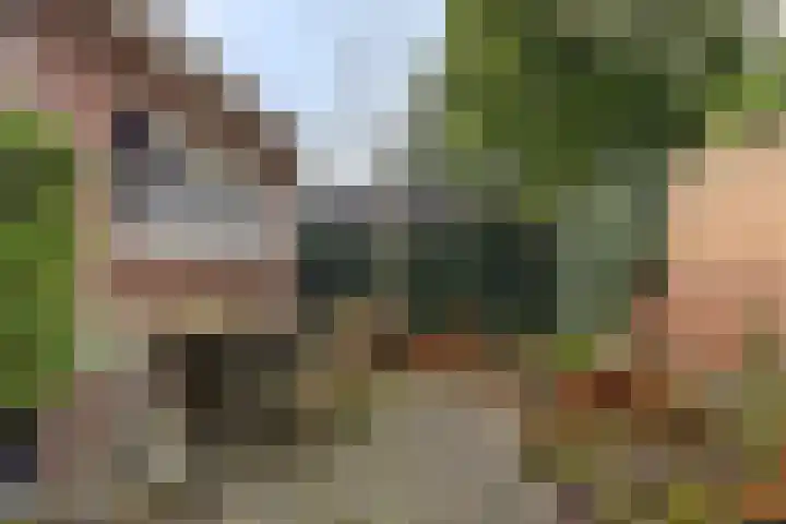 Emmalaan 5 Oegstgeest thumbnail 31