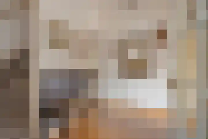 Emmalaan 5 Oegstgeest thumbnail 8