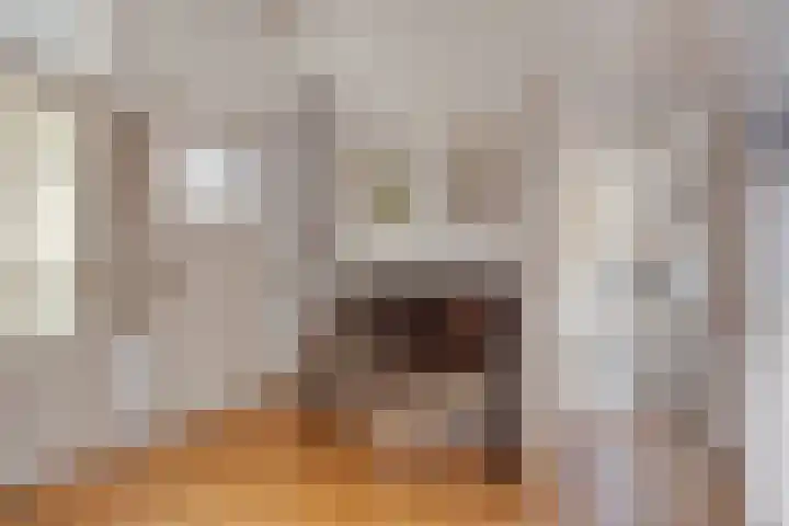 Emmalaan 5 Oegstgeest thumbnail 9