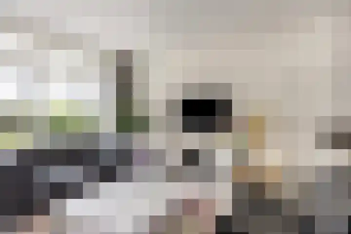 Emmalaan 5 Someren thumbnail 14