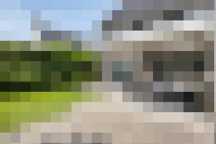 Emmalaan 5 Someren thumbnail 49