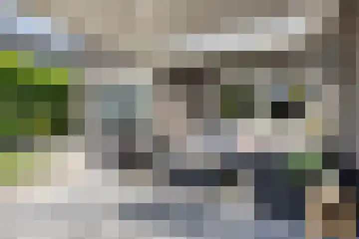 Emmalaan 5 Someren thumbnail 53