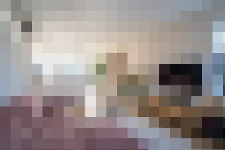 Emmalaan 51 Geldermalsen thumbnail 12