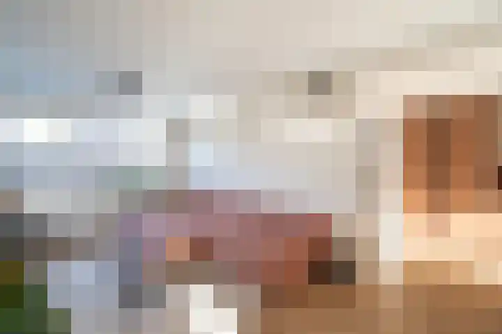 Emmalaan 51 Geldermalsen thumbnail 14