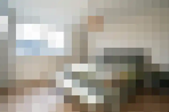 Emmalaan 51 Geldermalsen thumbnail 18