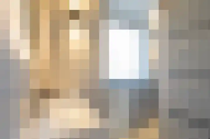 Emmalaan 51 Geldermalsen thumbnail 20