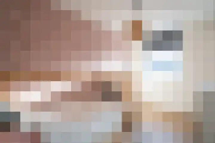 Emmalaan 51 Geldermalsen thumbnail 23