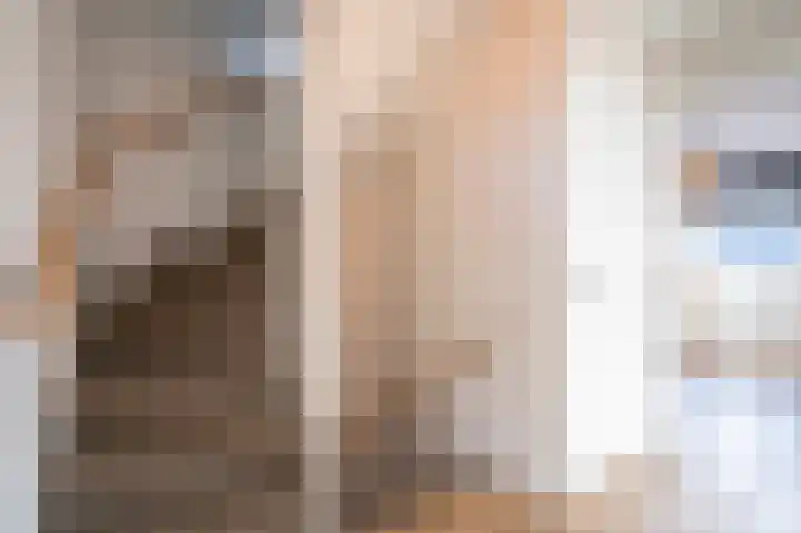 Emmalaan 51 Geldermalsen thumbnail 25
