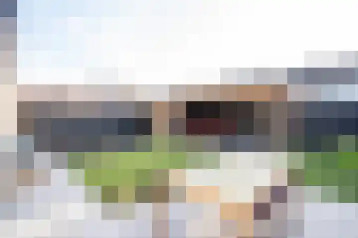 Emmalaan 51 Geldermalsen thumbnail 33
