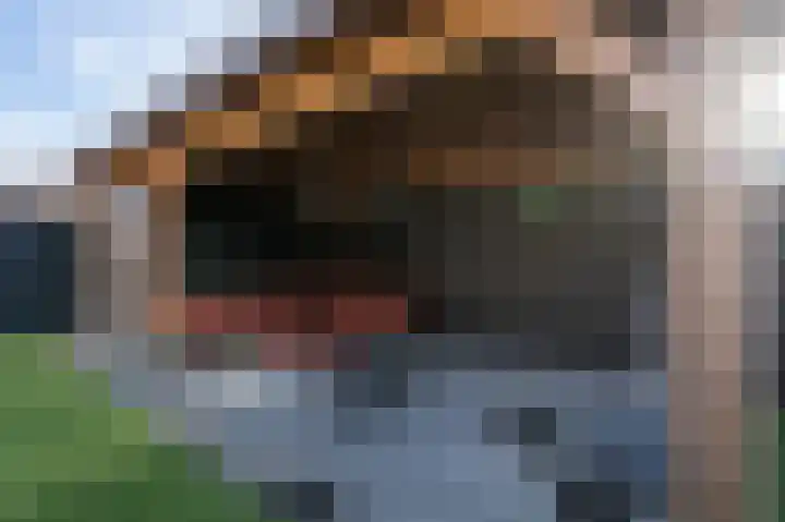 Emmalaan 51 Geldermalsen thumbnail 34