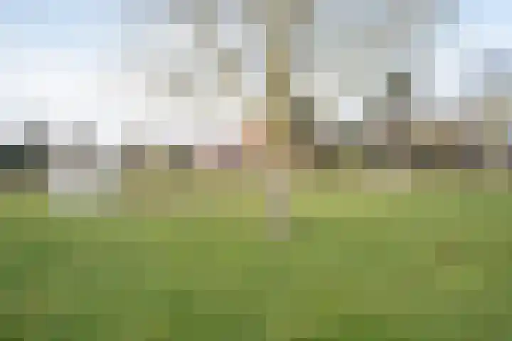 Emmalaan 51 Geldermalsen thumbnail 37