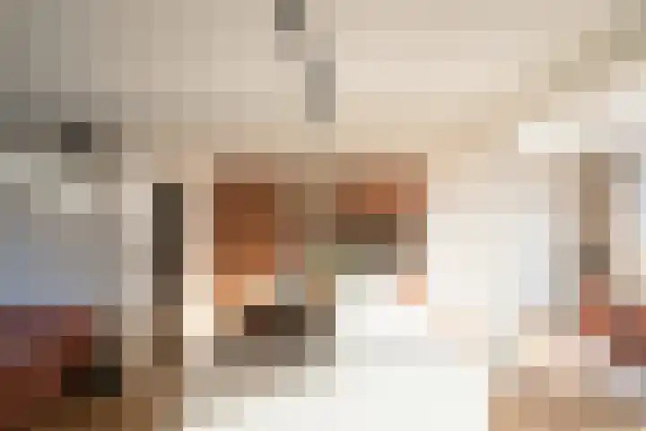 Emmalaan 51 Geldermalsen thumbnail 6