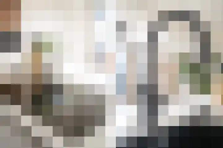 Emmalaan 51 Geldermalsen thumbnail 8