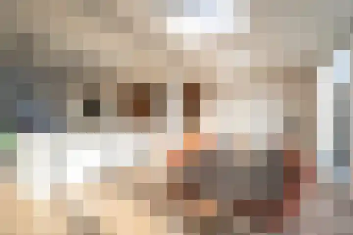 Emmalaan 51 Geldermalsen thumbnail 9