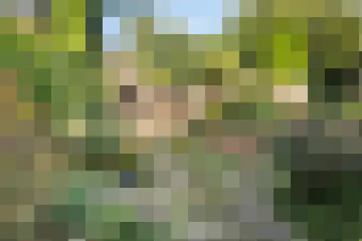 Emmalaan 57 Heerde thumbnail 24