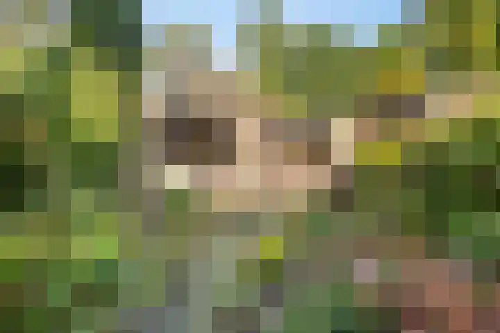 Emmalaan 57 Heerde thumbnail 26